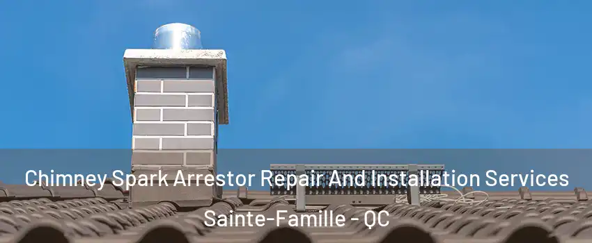 Chimney Spark Arrestor Repair And Installation Services Sainte-Famille - QC