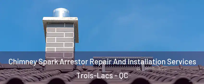  Chimney Spark Arrestor Repair And Installation Services Trois-Lacs - QC