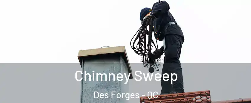  Chimney Sweep Des Forges - QC