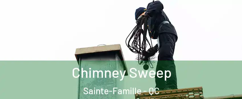  Chimney Sweep Sainte-Famille - QC