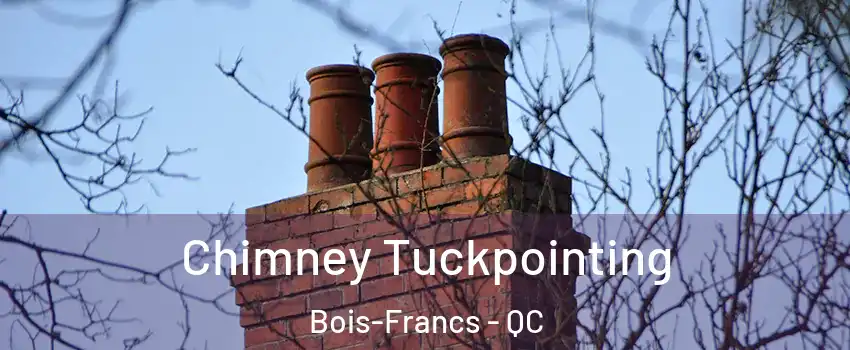  Chimney Tuckpointing Bois-Francs - QC
