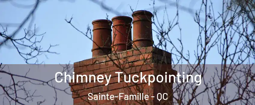  Chimney Tuckpointing Sainte-Famille - QC