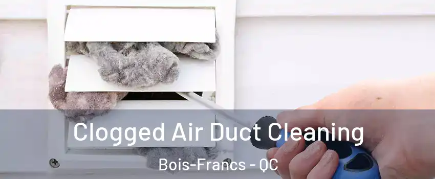  Clogged Air Duct Cleaning Bois-Francs - QC