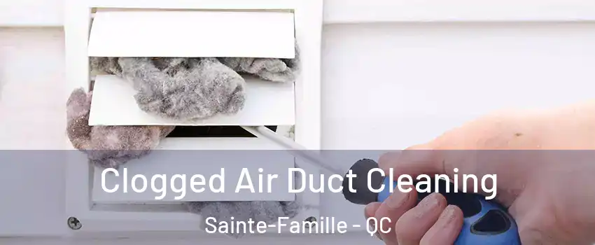  Clogged Air Duct Cleaning Sainte-Famille - QC