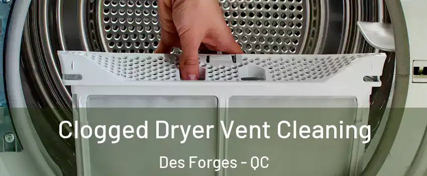  Clogged Dryer Vent Cleaning Des Forges - QC