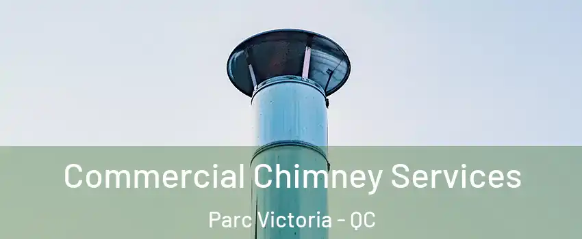  Commercial Chimney Services Parc Victoria - QC