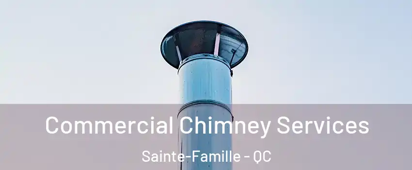  Commercial Chimney Services Sainte-Famille - QC