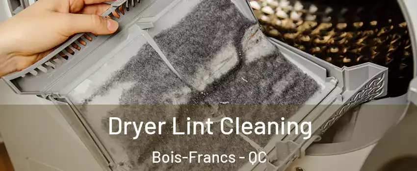  Dryer Lint Cleaning Bois-Francs - QC