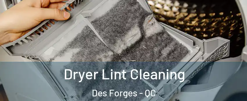  Dryer Lint Cleaning Des Forges - QC