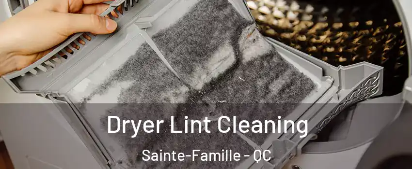  Dryer Lint Cleaning Sainte-Famille - QC