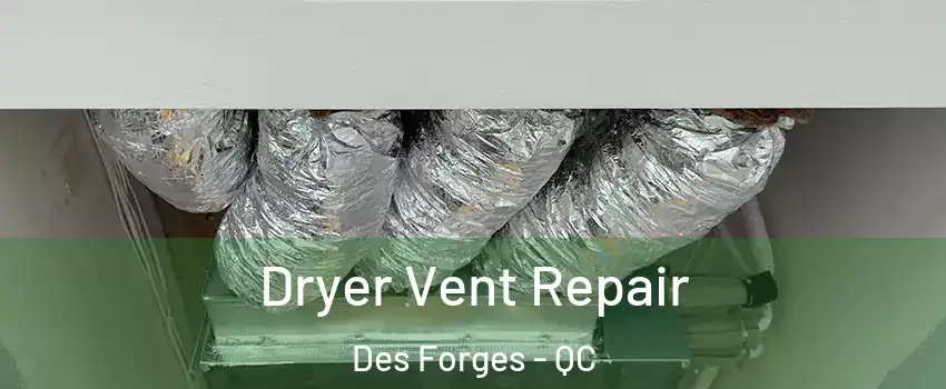  Dryer Vent Repair Des Forges - QC