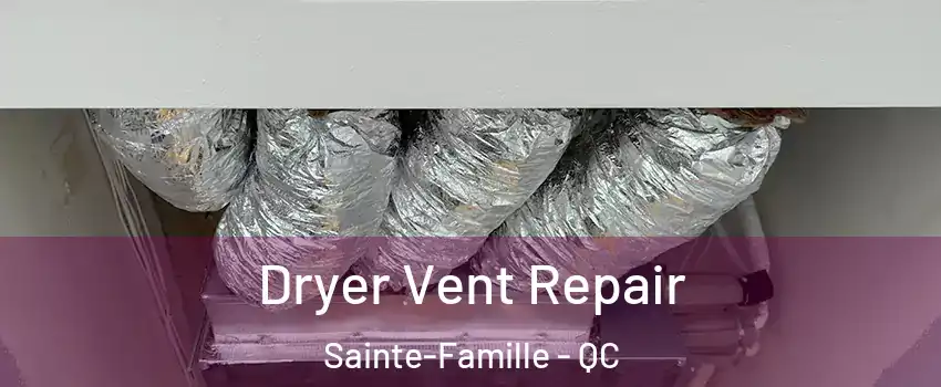  Dryer Vent Repair Sainte-Famille - QC
