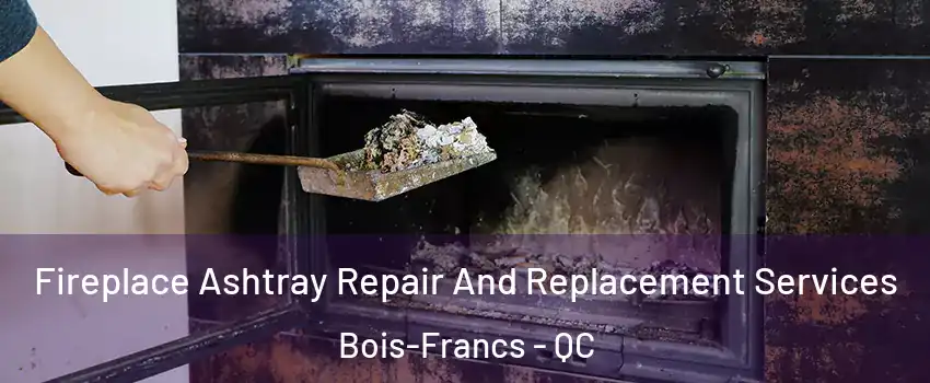  Fireplace Ashtray Repair And Replacement Services Bois-Francs - QC
