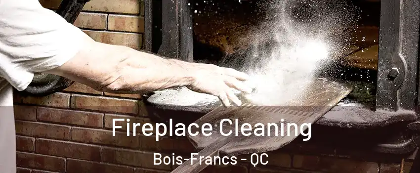  Fireplace Cleaning Bois-Francs - QC