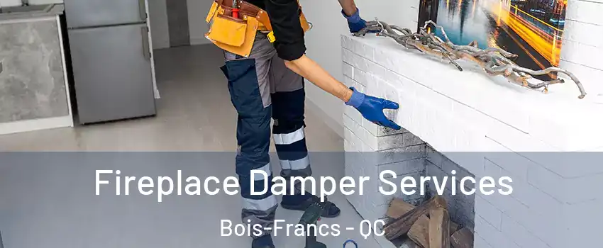  Fireplace Damper Services Bois-Francs - QC