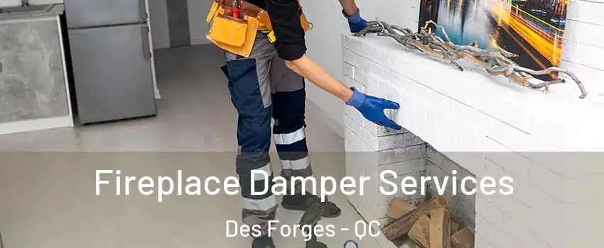  Fireplace Damper Services Des Forges - QC