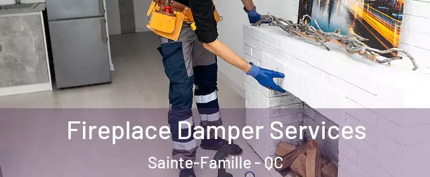  Fireplace Damper Services Sainte-Famille - QC