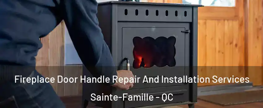  Fireplace Door Handle Repair And Installation Services Sainte-Famille - QC