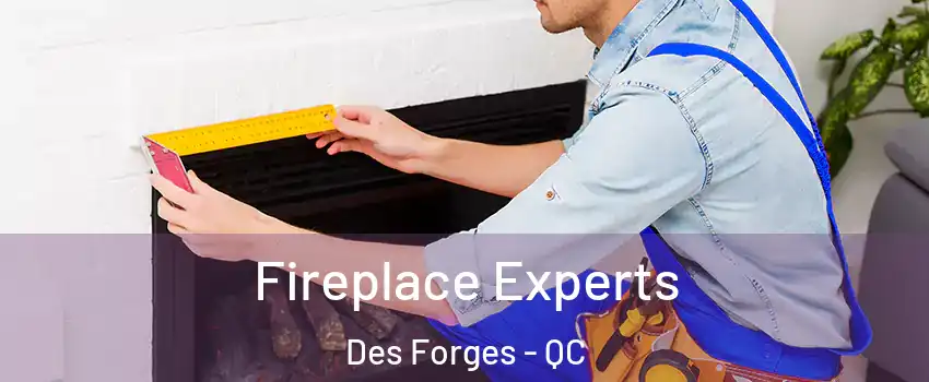  Fireplace Experts Des Forges - QC