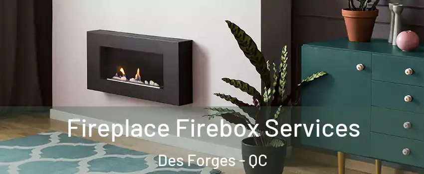  Fireplace Firebox Services Des Forges - QC