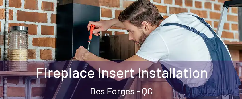  Fireplace Insert Installation Des Forges - QC