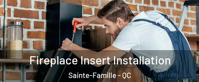  Fireplace Insert Installation Sainte-Famille - QC