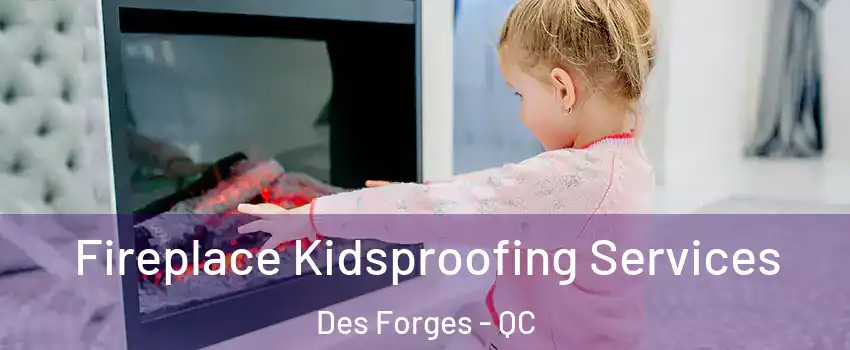  Fireplace Kidsproofing Services Des Forges - QC