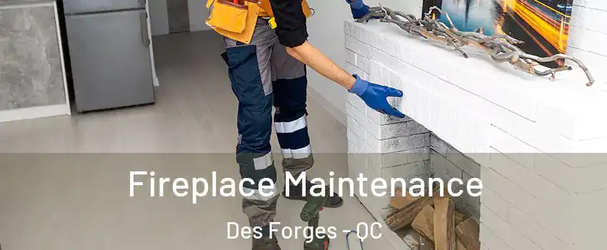  Fireplace Maintenance Des Forges - QC