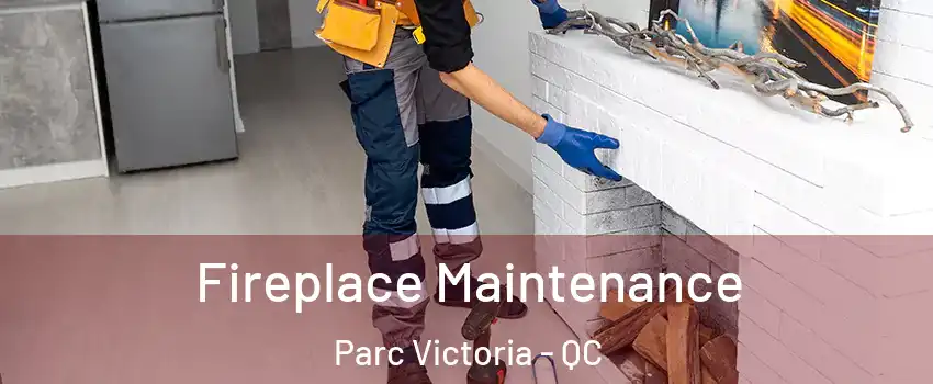  Fireplace Maintenance Parc Victoria - QC