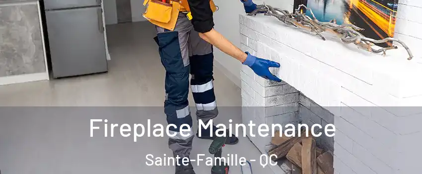  Fireplace Maintenance Sainte-Famille - QC