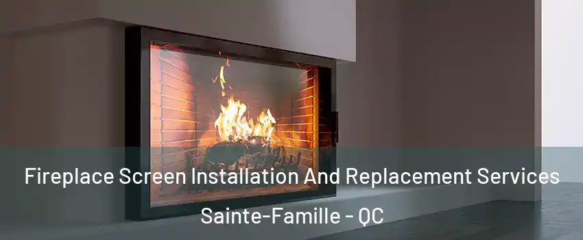  Fireplace Screen Installation And Replacement Services Sainte-Famille - QC