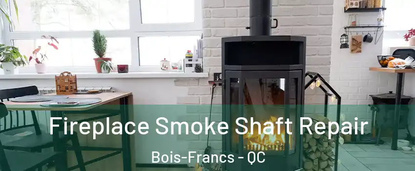  Fireplace Smoke Shaft Repair Bois-Francs - QC