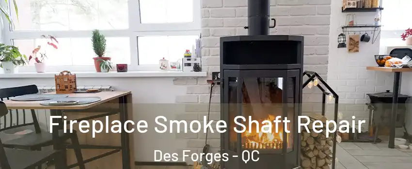  Fireplace Smoke Shaft Repair Des Forges - QC