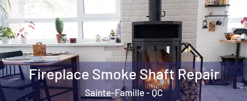  Fireplace Smoke Shaft Repair Sainte-Famille - QC