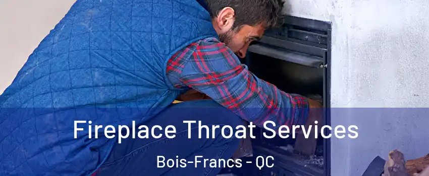  Fireplace Throat Services Bois-Francs - QC