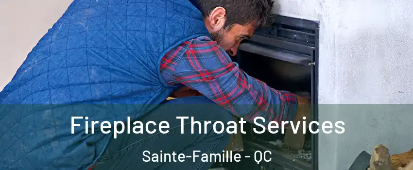  Fireplace Throat Services Sainte-Famille - QC