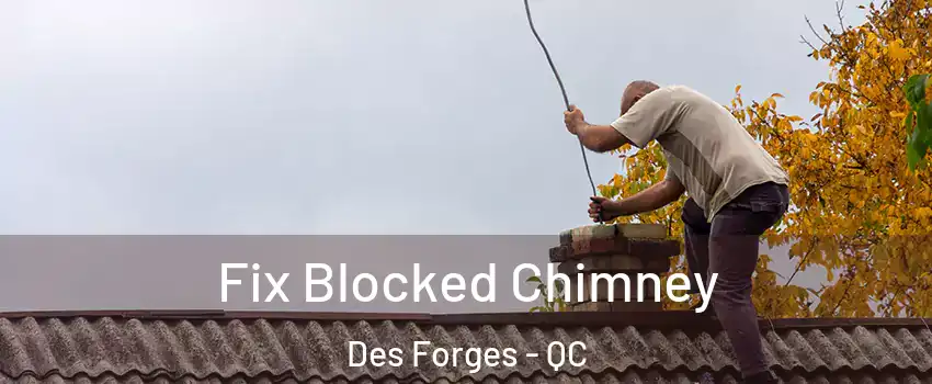  Fix Blocked Chimney Des Forges - QC