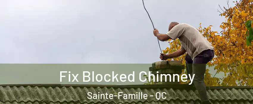  Fix Blocked Chimney Sainte-Famille - QC