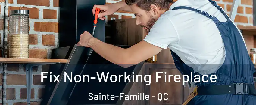  Fix Non-Working Fireplace Sainte-Famille - QC