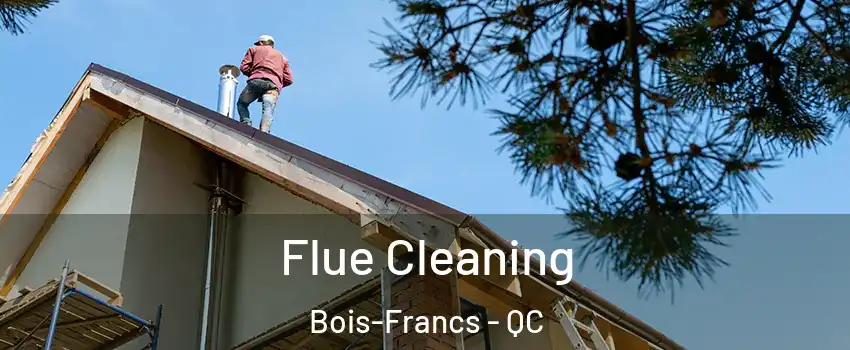  Flue Cleaning Bois-Francs - QC