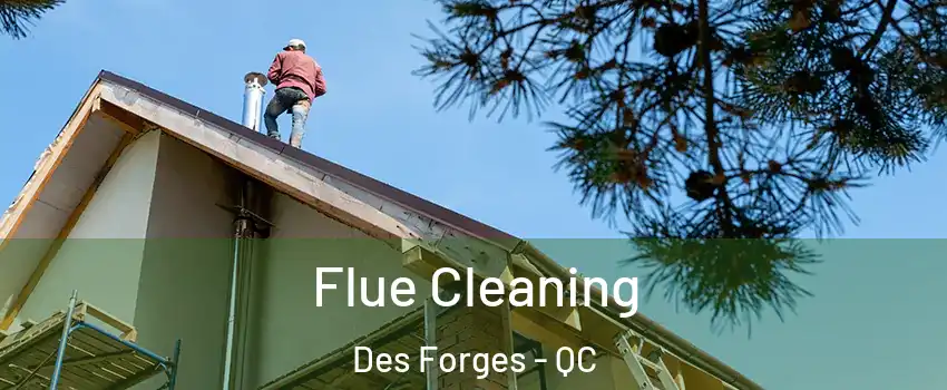  Flue Cleaning Des Forges - QC