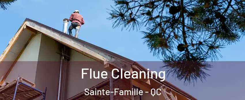  Flue Cleaning Sainte-Famille - QC