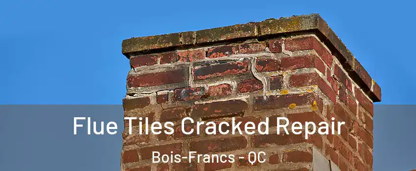  Flue Tiles Cracked Repair Bois-Francs - QC