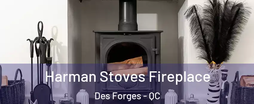  Harman Stoves Fireplace Des Forges - QC