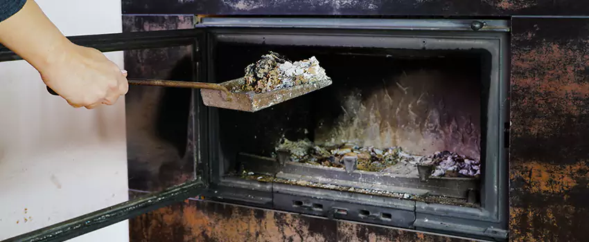 Wood Burning Chimney Odor Removal in Victoriaville, Quebec