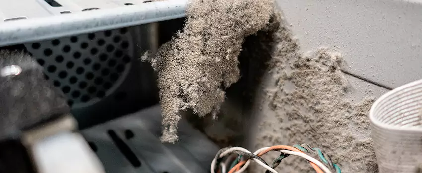 Clogged Dryer Vent Lint Cleaning in Victoriaville, Quebec