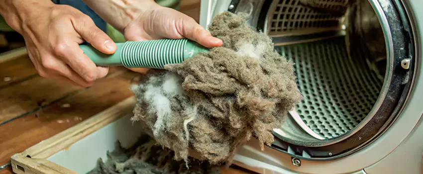 Best Dryer Lint Removal Company in Victoriaville, Quebec