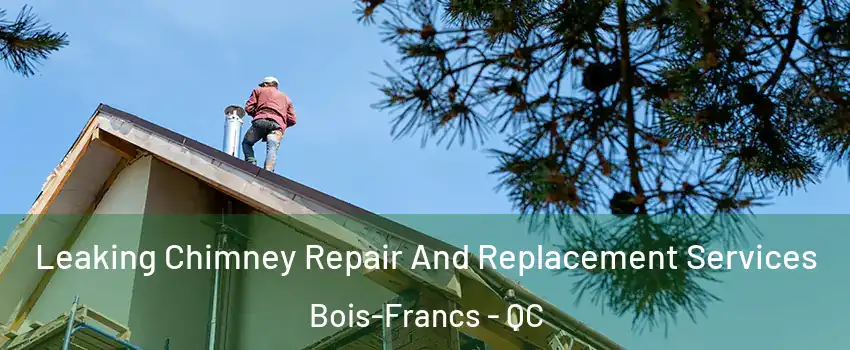  Leaking Chimney Repair And Replacement Services Bois-Francs - QC