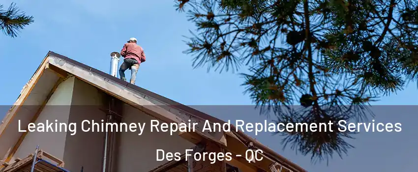  Leaking Chimney Repair And Replacement Services Des Forges - QC