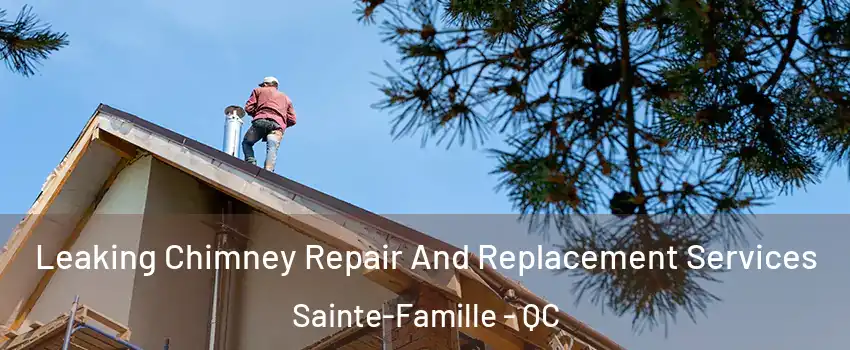  Leaking Chimney Repair And Replacement Services Sainte-Famille - QC